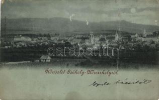 Székelyudvarhely (fa)