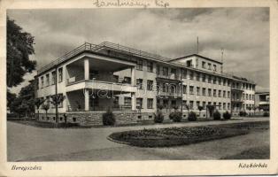 Beregszász Hospital (EK)