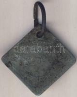 1929 Pest-Pilis Solt Kisun megye ebadójegy fém T:3