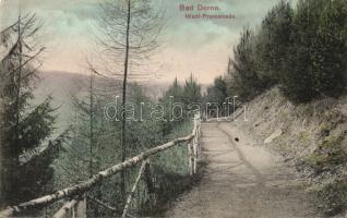 Dorna Wazl promenade (Rb)