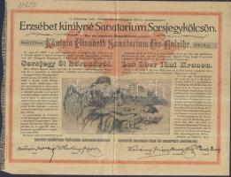 1888-1925 Jószív egyesületi sorsjegyek, Erzsébet királyné szanatóriumi sorsjegyek, nyereménykötvénye...