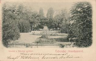 1899 Orosháza Mikolay park