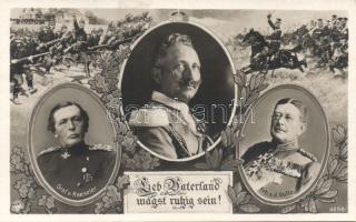 Wilhelm II, Von Haeseler and Von der Goltz