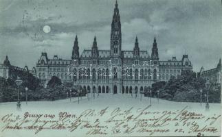 1899 Vienna Town hall (EK)