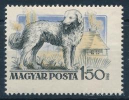 1956 Magyarországi kutyafajták 1,50Ft látványosan elfogazva