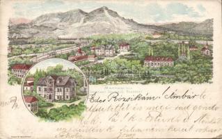 Budapest XI. Mattoni-féle Erzsébet Sósfürdő (wet damage)