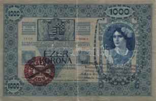 1902. 1000K "Stempel wurde..." fny-sal + piros "Magyaroroszág" körbélyegző Andrá...