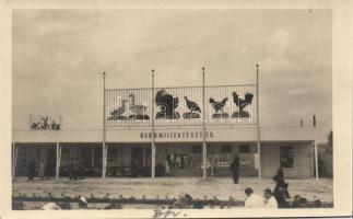 Budapest Országos Állattenyésztési Kiállítás 1952 photo So.Stpl