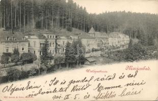 Mariánské Lázné with Villa Bar (EK)