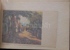 62 darabos képeslapgyűjtemény albumban, köztük sok régi Bécs, illetve egy régi levél