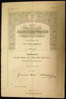 1915 Szecessziós, főhadnagyi kinevezés oklevél / Military warrant 32x48 cm