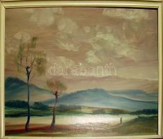 Azonosítatlan jelzéssel: Vihar, olaj-farost, (Képcsarnokos címke maradványai), keretben 62x82 cm