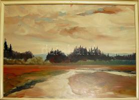 Jelzés nélkül: Folyó, olaj-farost, (Képcsarnokos címke maradványai), keretben 62x82 cm