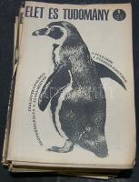 1970 Élet és Tudomány majdnem komplett évfolyam