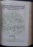 Beke Manó: A technika világa, 738db szövegképpel és 43db részben színes műmelléklettel Athenaeum (jó...