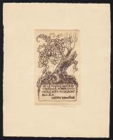 Révész Imre (1859-1945): Ex libris, rézkarc-papír, jelzett 16x20 cm