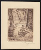 Tóth Menyhért (1904-1980): Ex libris, rézkarc-papír, ceruzával jelzett 13x16 cm