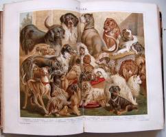 A Pallas Nagy Lexikona. Az összes ismeretek enciklopédiája. I-XVIII.  kötet Szövegközti képekkel, té...