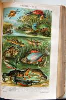 A Pallas Nagy Lexikona. Az összes ismeretek enciklopédiája. I-XVIII.  kötet Szövegközti képekkel, té...