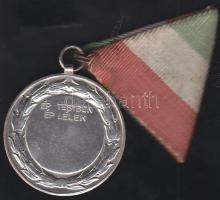 1880. Csengery Antal medál eredeti mellszalaggal T:2