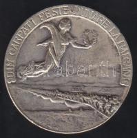 Románia 1913. "Din Carpati peste Dunare la Balcani" Ag érme T:2