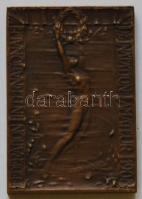 4db klf szocialista kitüntetés/plakett, egyik igazolással és államtitkári aláírással illetve egy fa ...