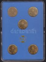 Szlovákia 1990-1993. 5db klf 10Kcs forgalmi érmesor eredeti dísztokban! T:BU