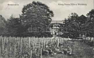 Szendrő (Semendria) Villa King Peter and vineyard