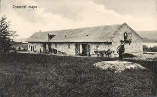 Csenede farm