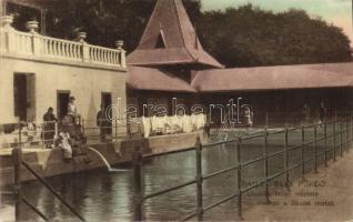 Félixfürdő swimming pool