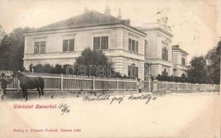 1899 Zavar Mailáth castle (fl)