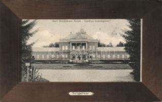 Szentegát (Szigetvár) Báró Biedermann Rezső kastélya