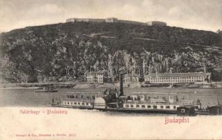 Budapest I. Gellérthegy a Hattyú gőzössel (EK)