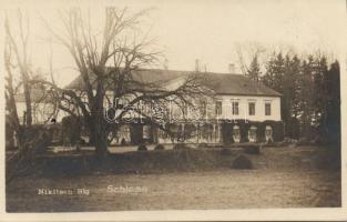 Füles (Nikitsch) castle photo