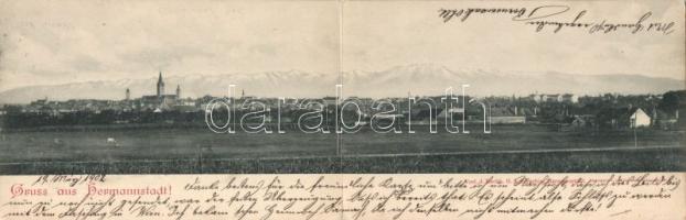 Nagyszeben panoramacard