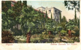Dubrovnik, Ragusa; Schloss Lacroma, Palmen / castle, palm trees