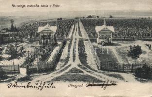 Ilok wineyard of the agricultural school (small tear)