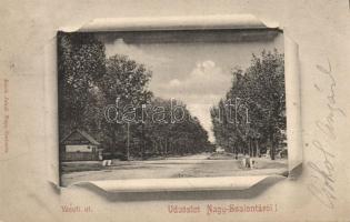 Nagyszalonta Railway street with the shop of Mór Czinczár
