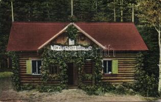 Kassa forest cottage