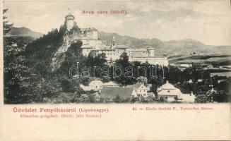 Árva castle from South