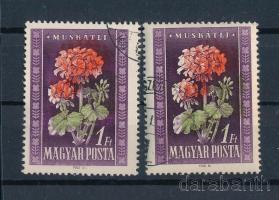 1950 Virág (I.) 2 db 1Ft a piros és zöld szín eltolódásával