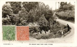 Ferny Creek Crescent road (EK)