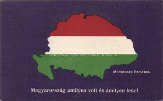The past and the future Hungary