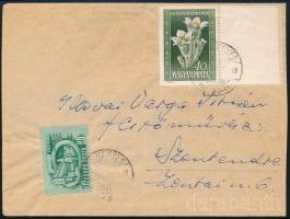 1950 Virág I. 40f üresmezős bélyeg levélen / Mi 1113 with blank field on cover