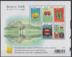 Internationale Briefmarkenausstellung BELGICA &#8217;06 Block, BELGICA 06 bélyegkiállítás blokk, BELGICA 06 stamp exhibition block