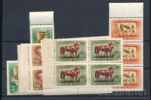 1951 Háziállatok 4 sor összefüggésekben