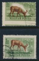 1953 Erdei állatok 1Ft elfogazva, elcsúszott barna színnel + támpéldány / Mi 1292 shifted brown colour and perforation