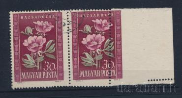 1950 Virág (I.) 30f ívszéli párban látványos elfogazással