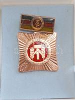 Német szocialista kitüntetés "kollektív munkáért" T:2