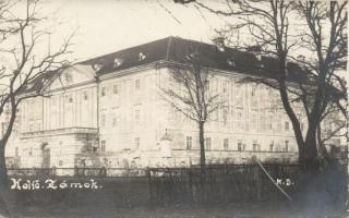 Holics castle photo (EK)